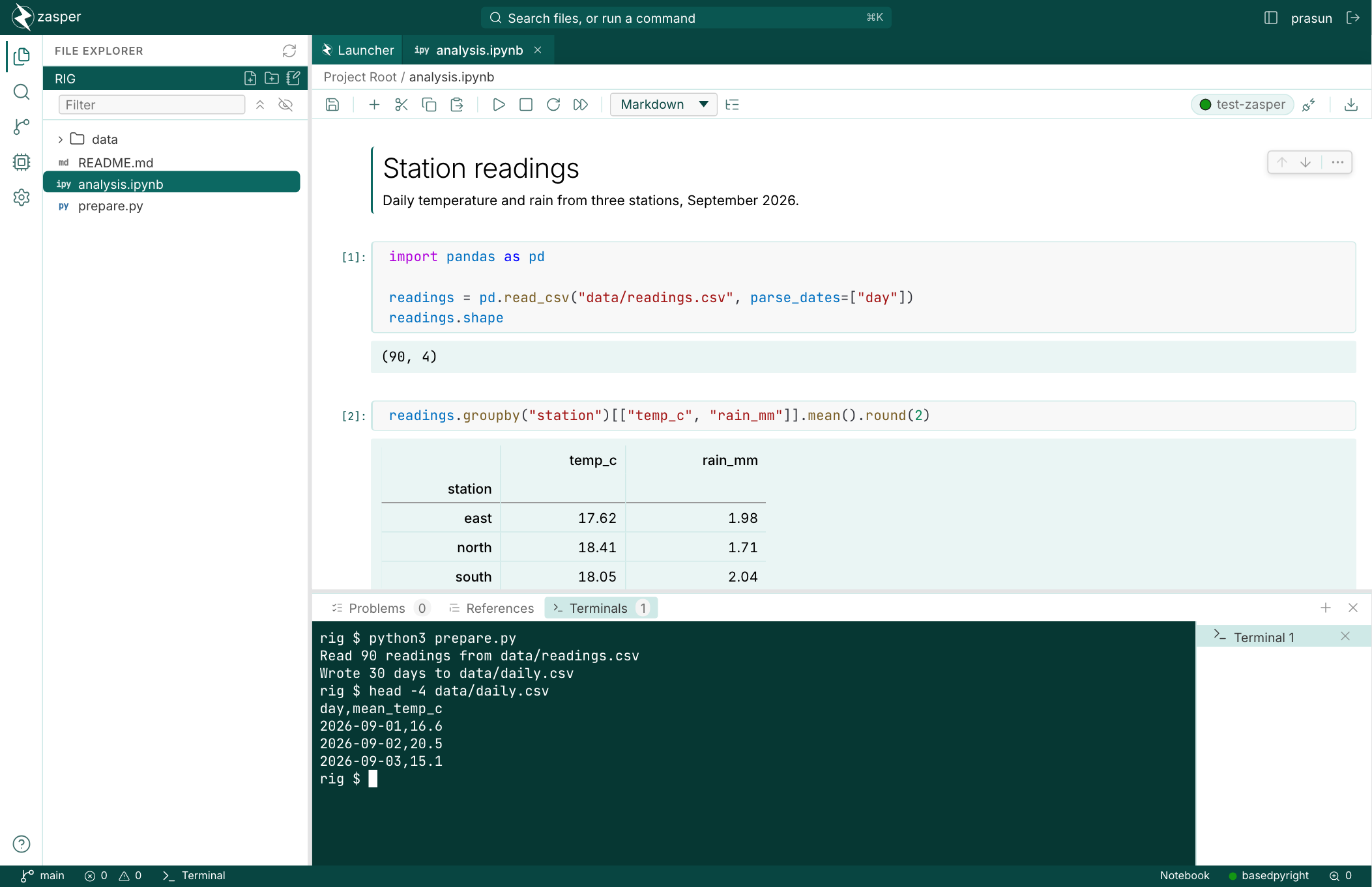 A notebook open in Zasper, with a terminal panel beneath it running a Python script