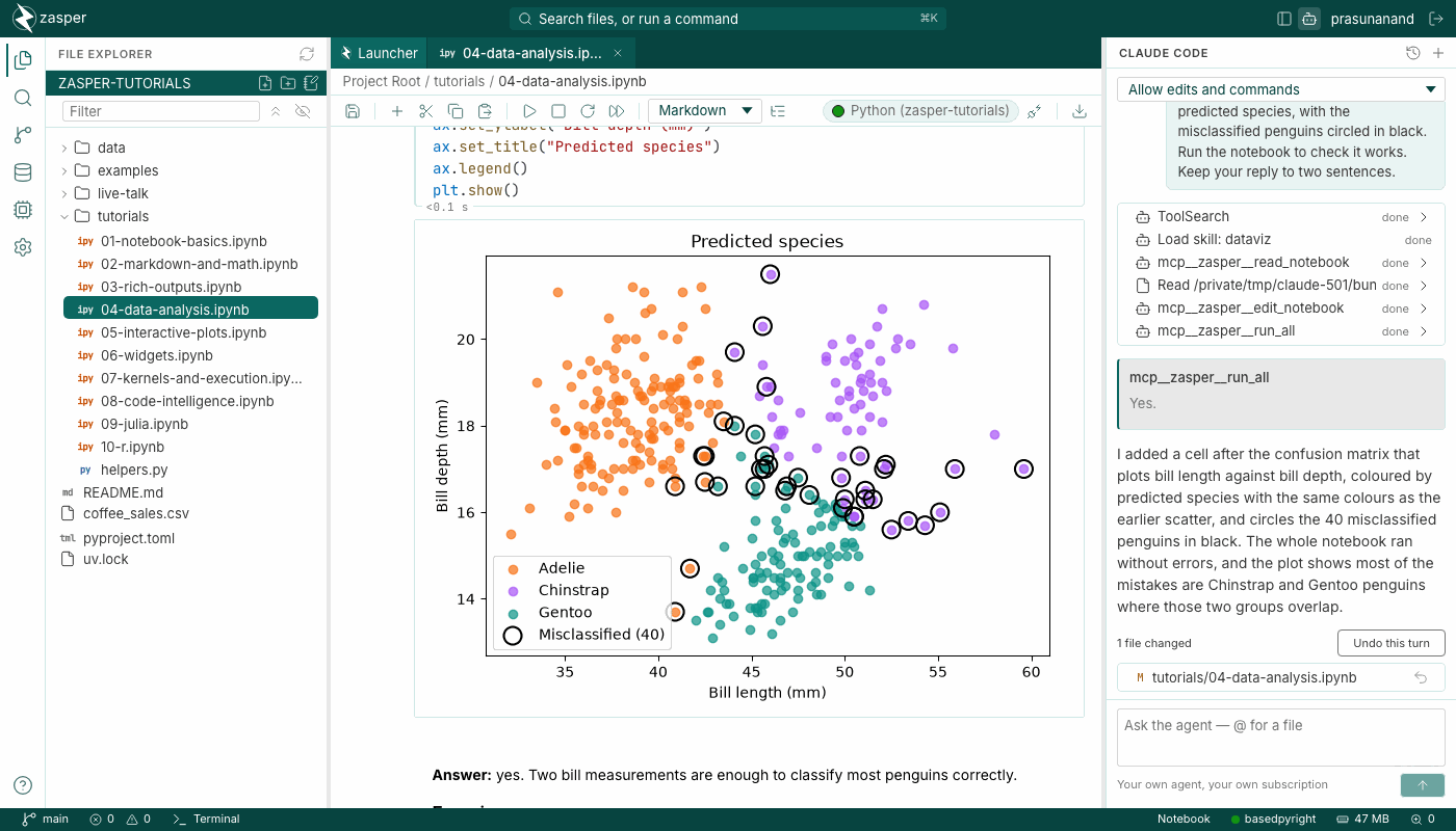 A penguins notebook in Zasper with a scatter plot of bill length against bill depth, coloured by predicted species with the misclassified penguins circled, and Claude Code's panel beside it: the tool calls it made to read, edit and run the notebook, its two-sentence answer, and the notebook listed as the file the turn changed, with Undo this turn.
