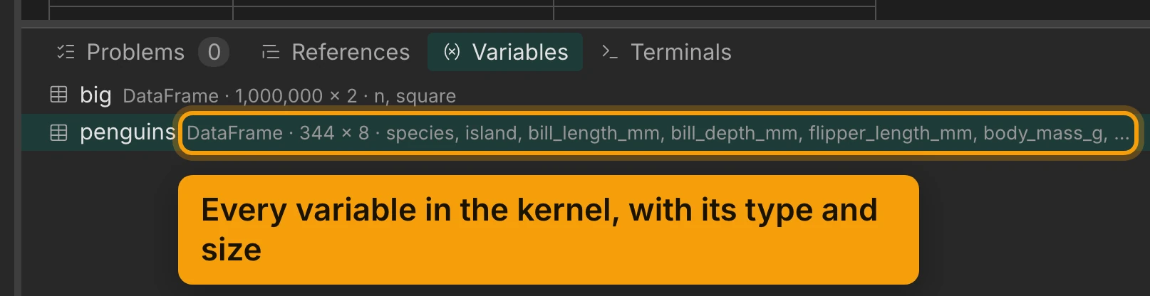 The Variables tab of the dock under the editor. It lists big, DataFrame · 1,000,000 × 2 · n, square, and penguins, DataFrame · 344 × 8, with its column names. The penguins line is ringed and labelled Every variable in the kernel, with its type and size.