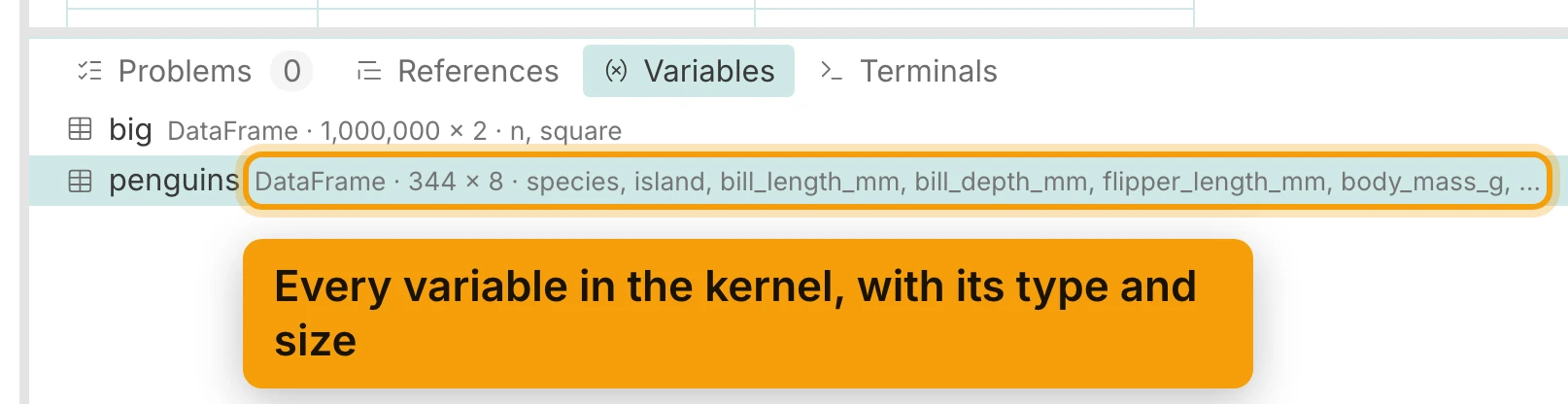 The Variables tab of the dock under the editor. It lists big, DataFrame · 1,000,000 × 2 · n, square, and penguins, DataFrame · 344 × 8, with its column names. The penguins line is ringed and labelled Every variable in the kernel, with its type and size.