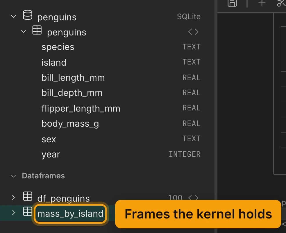 The Data panel: the penguins connection, SQLite, with its penguins table open, listing species, island and sex as TEXT, the four measurements as REAL and year as INTEGER. Below, under Dataframes, df_penguins and mass_by_island; mass_by_island is ringed and labelled Frames the kernel holds.
