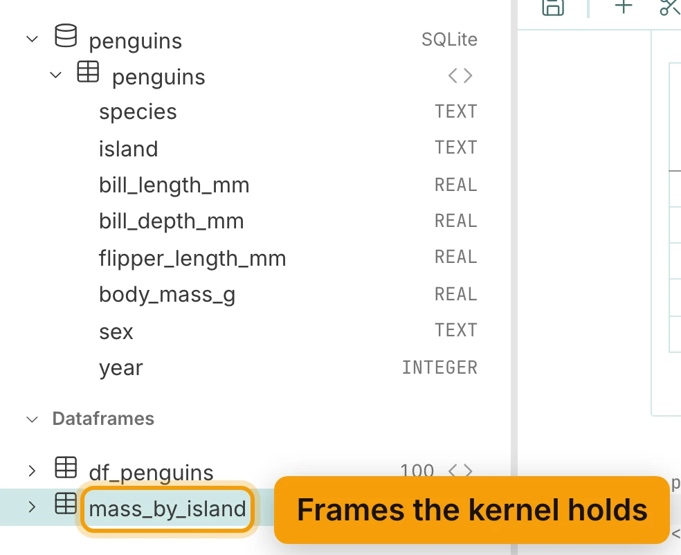 The Data panel: the penguins connection, SQLite, with its penguins table open, listing species, island and sex as TEXT, the four measurements as REAL and year as INTEGER. Below, under Dataframes, df_penguins and mass_by_island; mass_by_island is ringed and labelled Frames the kernel holds.
