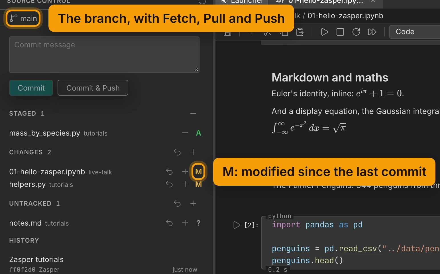 The Source control panel. The branch, main, is ringed and labelled The branch, with Fetch, Pull and Push. Below it are the Commit message box and the Commit and Commit & Push buttons, then Staged 1 with mass_by_species.py marked A, Changes 2 with 01-hello-zasper.ipynb and helpers.py both marked M, the first M ringed and labelled M: modified since the last commit, Untracked 1 with notes.md marked ?, and History with one commit, Zasper tutorials.