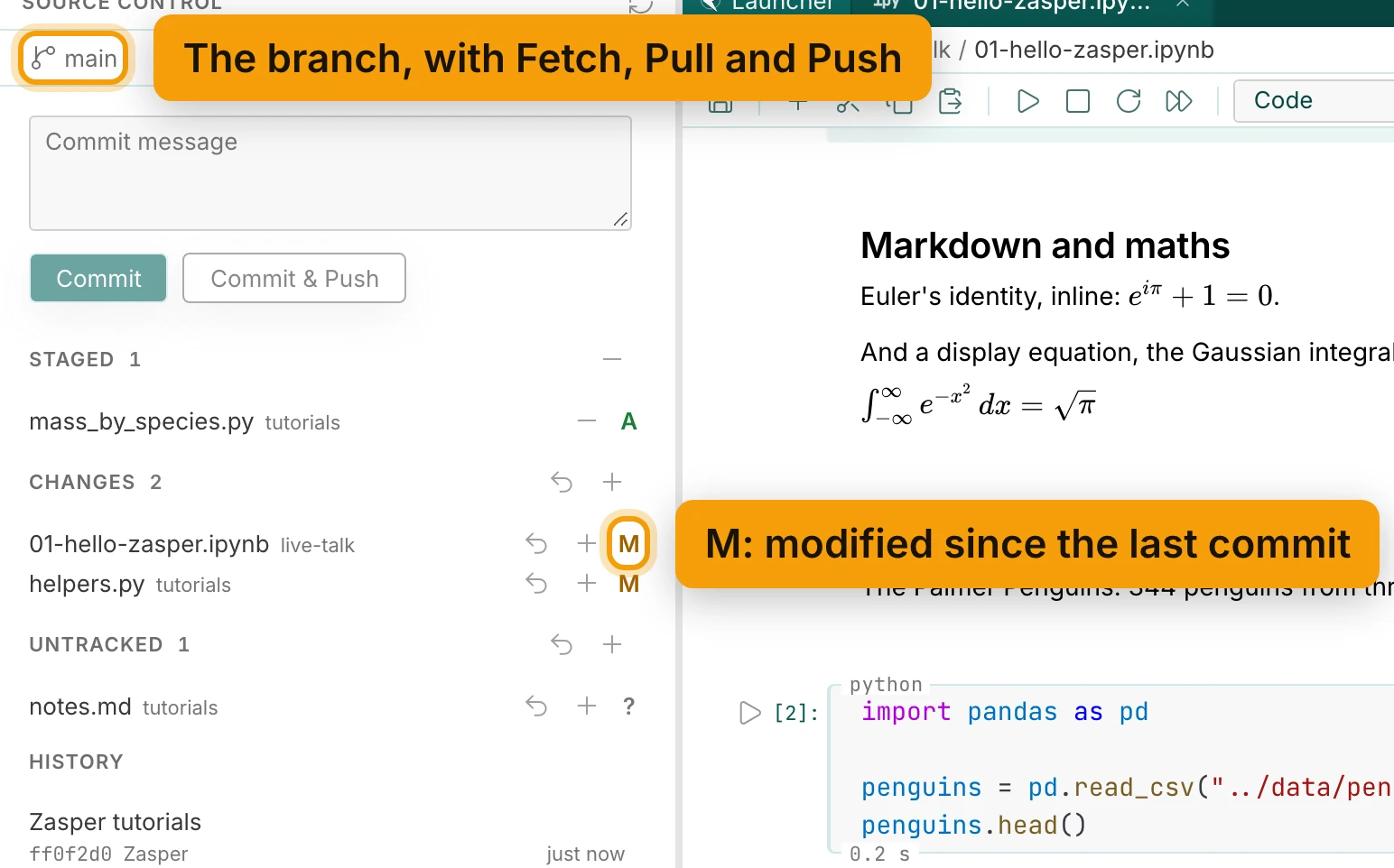 The Source control panel. The branch, main, is ringed and labelled The branch, with Fetch, Pull and Push. Below it are the Commit message box and the Commit and Commit & Push buttons, then Staged 1 with mass_by_species.py marked A, Changes 2 with 01-hello-zasper.ipynb and helpers.py both marked M, the first M ringed and labelled M: modified since the last commit, Untracked 1 with notes.md marked ?, and History with one commit, Zasper tutorials.
